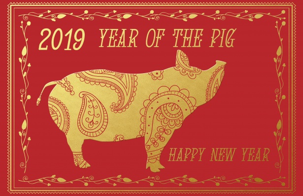 year-of-the-pig
