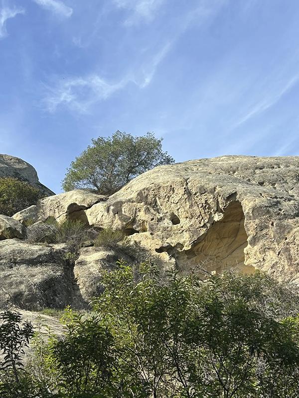 laurel-canyon-3---paul-bokota